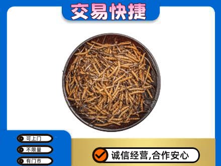 滨州礼品回收虫草.jpg
