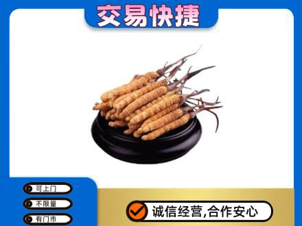 滨州礼品回收散虫草.jpg